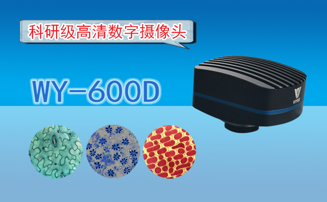 显微镜定制.jpg